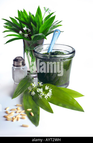 Ramsons, aglio selvatico o l'Aglio orsino (Allium ursinum) foglie, fiori e pesto Foto Stock