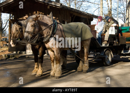 Cavallo e Carrozza al Castello di Neuschwanstein, Schwangau, Fussen, Baviera, Germania Foto Stock