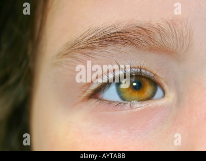 Close up Toddler s Eye Foto Stock