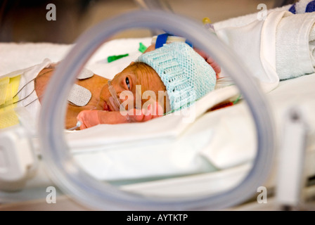 Bambino prematuro in un incubatore Foto Stock