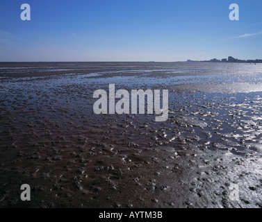 Wattenmeer bei ebbe, Duhner Watt, Cuxhaven, Seebad, Nordsee, Nationalpark Wattenmeer Niedersaechsisches, Bassa Sassonia Foto Stock