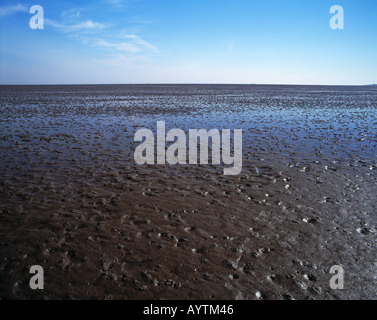 Wattenmeer bei ebbe, Duhner Watt, Cuxhaven, Seebad, Nordsee, Nationalpark Wattenmeer Niedersaechsisches, Bassa Sassonia Foto Stock