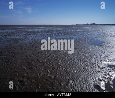 Wattenmeer bei ebbe, Duhner Watt, Cuxhaven, Seebad, Nordsee, Nationalpark Wattenmeer Niedersaechsisches, Bassa Sassonia Foto Stock