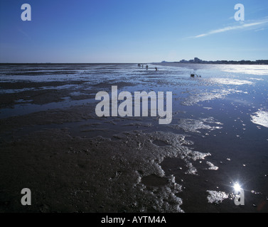 Wattenmeer bei ebbe, Duhner Watt, Cuxhaven, Seebad, Nordsee, Nationalpark Wattenmeer Niedersaechsisches, Bassa Sassonia Foto Stock