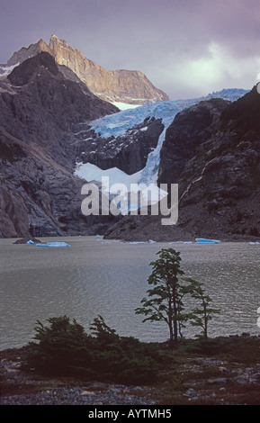 Ghiacciaio e Laguna los Perros, Paine circuito, il Parco Nazionale di Torres del Paine nella Patagonia cilena. Foto Stock