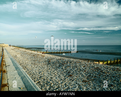 Tramonto sulla spiaggia di sassi e ghiaia Foto Stock