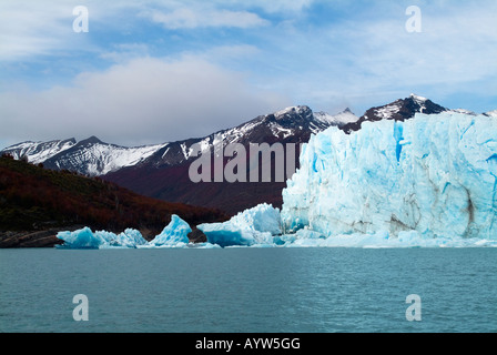 Una vista presa da una barca del Ghiacciaio Perito Moreno con i colori dell'autunno delle foreste nelle montagne di sfondo Foto Stock