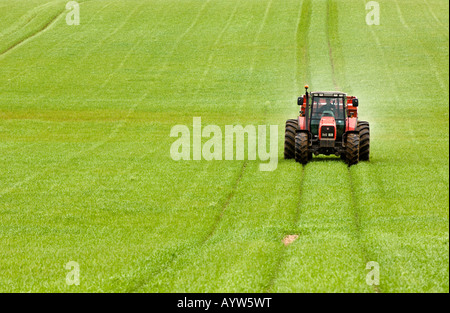 Agricoltore applicazione dei fertilizzanti di orzo invernale in primavera con il trattore con pneumatici larghi per ridurre compactation Penrith, Cumbria Foto Stock