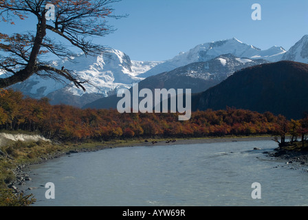 Bovini giacenti da un fiume glaciale in Bahia Onelli Patagonia Argentina in autunno Foto Stock