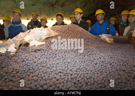 Un gruppo di visitatori in LKAB InfoMine sta dietro un contenitore con il minerale di ferro di pellet prodotti in LKAB impianti di pellettizzazione Foto Stock