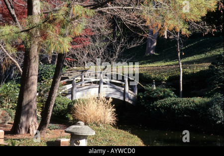 Weathered arcuati in legno in stile Giapponese bridge si riflette in una ancora acque di un lago Botanic Gardens Fort Worth Texas US 2004 Foto Stock