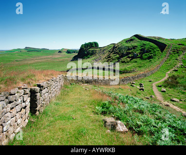 GB di Northumberland parete di Adriano nei pressi di HOUSESTEADS