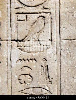 Horustempel, Ausgrabungen, Ausgrabungsstaette, Wandrelief, Hieroglyphen, Edfu, Oberaegypten Foto Stock