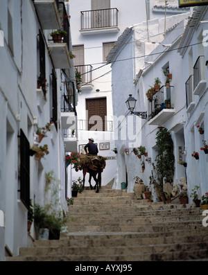 Steile enge Gasse, weisse Haeuser, weisse Stadt, Mann reitet auf einem Pferd in einer engen Gasse eine steile Treppe hinauf, Frigiliana, Malaga, Andal Foto Stock