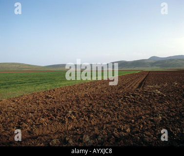 Ackerland, gepfluegter Accurboden, weite Ebene vor huegeligem Bergland, Granada, Andalusien Foto Stock