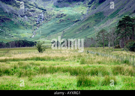 Buttermere, Wharnscale Beck cascate che scorre verso il basso Fleetwith Pike ripidi fianchi della montagna, il Lake District Cumbria Inghilterra England Regno Unito Foto Stock