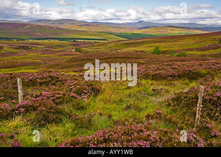 Vista di Glen Garry nelle Highlands scozzesi in Perthshire in Scozia Foto Stock