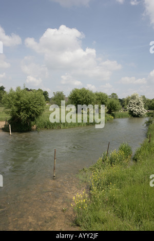 Il Fiume Windrush passando il villaggio Costwold di Swinbrook nr Burford Oxfordshire Foto Stock