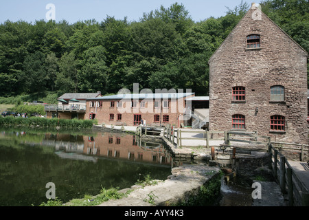 Il Dean Heritage Center nella Foresta di Dean Foto Stock