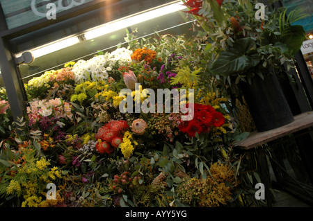 Das Gotische Viertel Barrí Gòtic Altstadt Città Vecchia Gotisches Viertel Blumen fiori Laden Shop Store Foto Stock