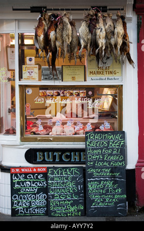 Fagiani appendere fuori d parete W e figlio di razze rare butcher nella città di Ludlow Shropshire REGNO UNITO Foto Stock