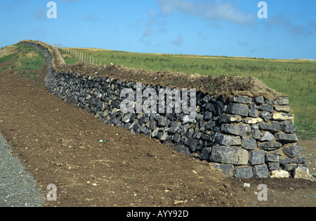 Un Cornish hedge secco un muro di pietra riempita con parete di suolo trovato in Cornovaglia Foto Stock