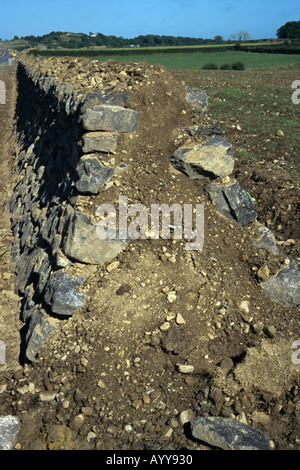 Un Cornish hedge secco un muro di pietra riempita con parete di suolo trovato in Cornovaglia Foto Stock