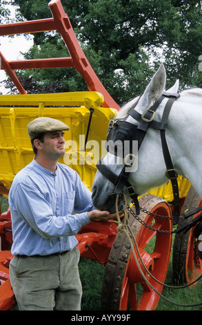 Un wagoner regolando il cablaggio su un cavallo disegnato il tosaerba a Acton Scott una fattoria Museo in Shropshire Foto Stock