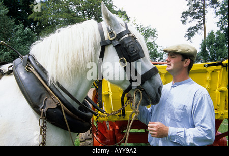 Un wagoner regolando il cablaggio su un cavallo e carro a Acton Scott una fattoria Museo in Shropshire Foto Stock