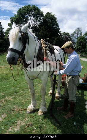 Un wagoner regolando il cablaggio su un cavallo disegnato il tosaerba a Acton Scott una fattoria Museo in Shropshire Foto Stock