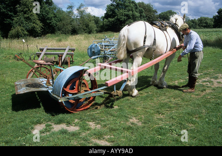 Fienagione alla vecchia maniera con cavallo e falciatrice a Acton Scott una fattoria Museo in Shropshire Foto Stock