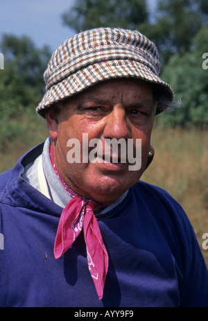 Taglio di carice Foto Stock