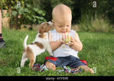 Piccolo Ragazzo con Jack Russell Terrier sul prato Foto Stock