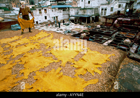 Viaggio conciatori di Fes trimestre Marocco Foto Stock