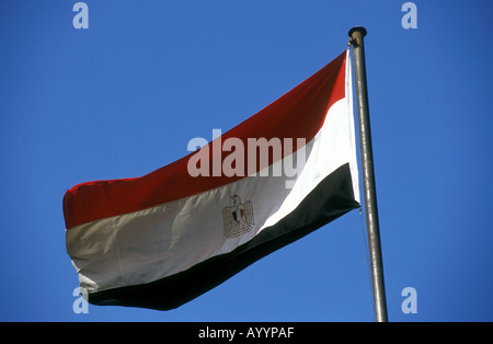 Egiziano bandiera nazionale al vento, Il Cairo, Egitto. Foto Stock