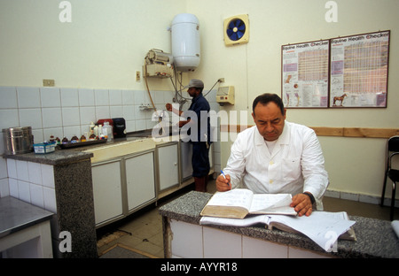 Brooke ospedale per animali HQ del Cairo in Egitto Foto Stock