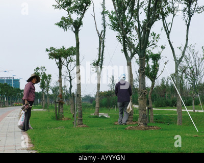 Giardinieri tra gli alberi in Lingang nuova città vicino a Shanghai in Cina Foto Stock