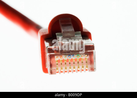 Close-up di arancione del connettore ethernet su sfondo bianco Foto Stock