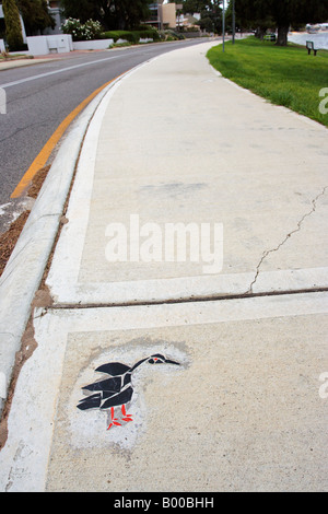 Arte sul sentiero a Mosman Bay nei pressi di Cottesloe in Western Australia. Foto Stock