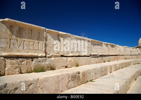Leptis Magna Theatre, Libia, Nord Africa Foto Stock