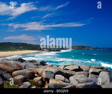 Rocce grigie vicino a Moruya Eurobodalla Parco Nazionale del Nuovo Galles del Sud Australia Foto Stock