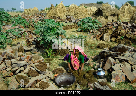 India Rajasthan Jaiselmeer una donna prepara lo sterco dischi al di fuori dell'acqua Buffalo Dung per essere essiccato a fianco di fieno di essiccazione ricks Foto Stock