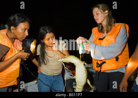 Il Perù, Amazon, Lago Preto Conservation Reserve. Volontari di Earthwatch peruviano e gli scienziati che lavorano insieme. Foto Stock