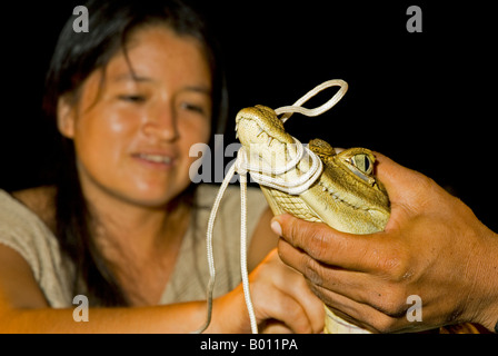 Il Perù, Amazon, Lago Preto Conservation Reserve. Volontari di Earthwatch peruviano e gli scienziati che lavorano insieme. Foto Stock