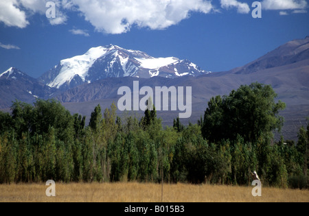 Mt. Mercedario e pioppi, vicino Barreal, Valle di Calingasta, San Juan provincia, Argentina Foto Stock