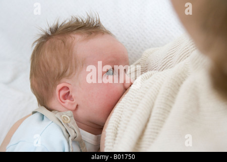 Allattamento al seno Foto Stock