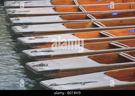 "Fila di sterline' a Scudamores sul "Fiume cam' vicino Ponte Maudlin Cambridge Foto Stock