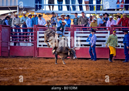 Bull di coda di cavallo alta. Il Rodeo è una piccola città in Texas. Foto Stock