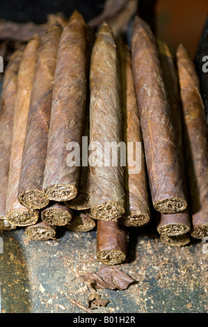 Fatte a mano appena arrotolato sigari repubblica dominicana il tabacco Foto Stock