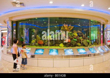 Acquario di circolare in interno del centro commerciale per lo shopping di Singapore Foto Stock